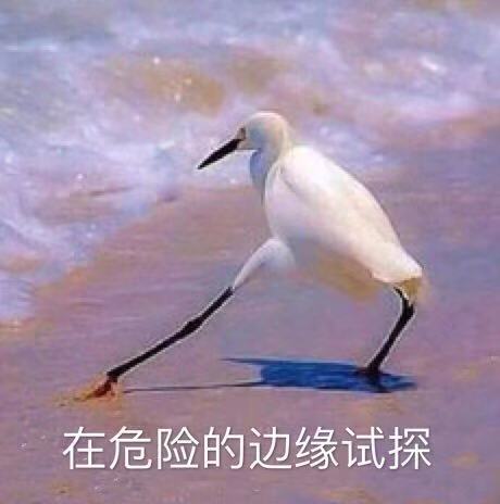 在危险的边缘试探.jpeg