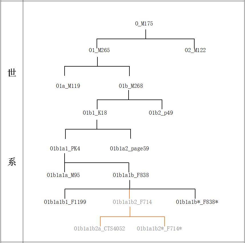 父系y染色体单倍群o1b1a1bf838资料持续更新