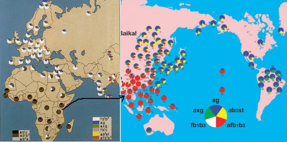 基因分析中国古代人口_传承红色基因手抄报