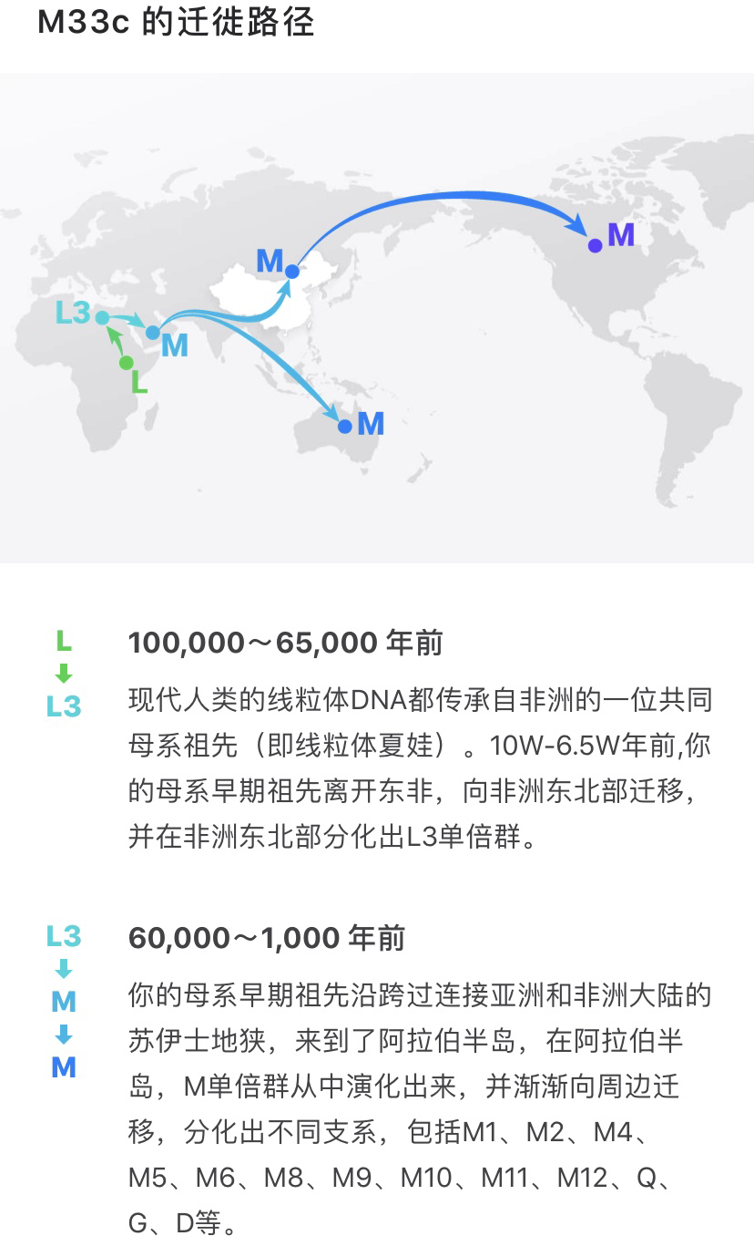 母系mt单倍群m33c
