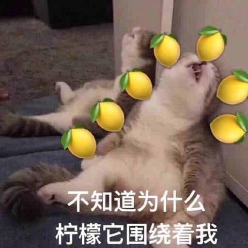 对于单身的我们来说,又是充满柠檬的一天呀!