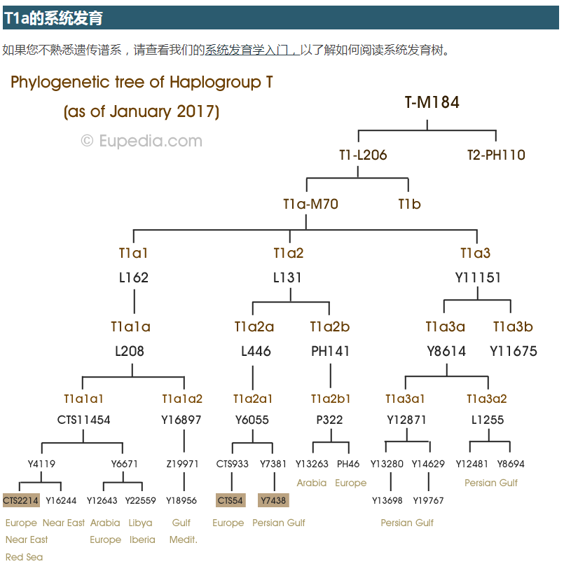 源基因